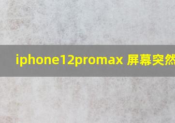 iphone12promax 屏幕突然变暗